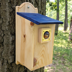 Birdhouse Bluebird_House