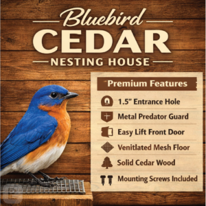 Birdhouse Bluebird_Label