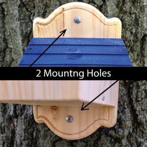 Birdhouse Bluebird_Mounting Holes