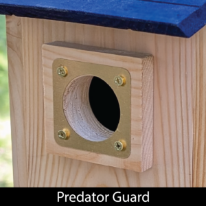 Birdhouse Bluebird_Predator Guard
