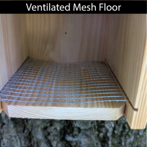 Birdhouse Bluebird_Ventilated Mesh Floor