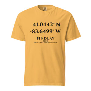 unisex-garment-dyed-heavyweight-t-shirt-mustard-front-69b318b30dddd.jpg